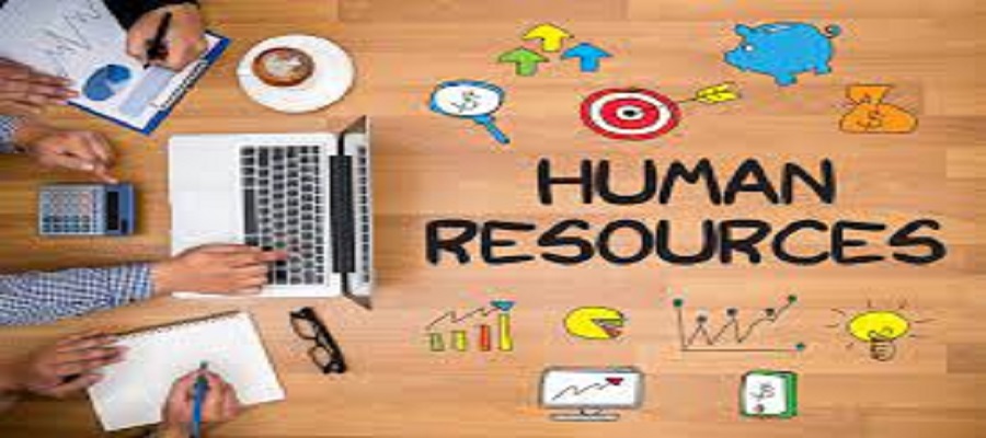 HR Software in Saudi Arabia: The Complete HR Management Solution
