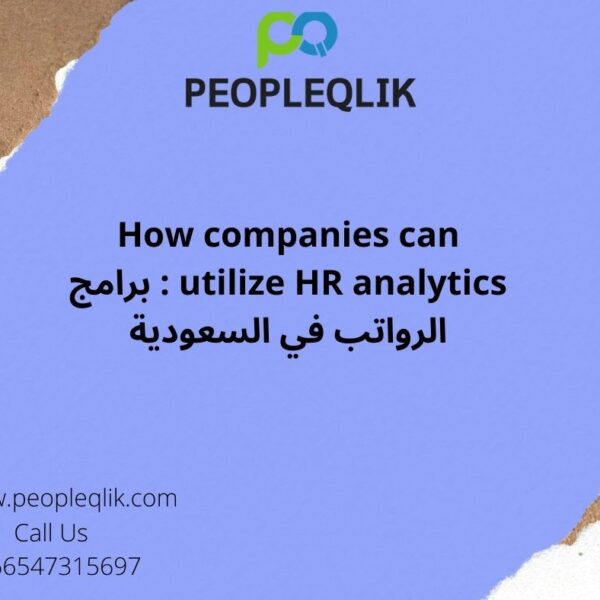 How companies can utilize HR analytics : برامج الرواتب في السعودية