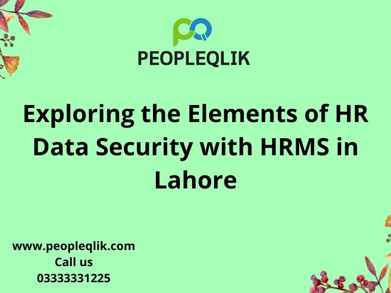 Exploring the Elements of HR Data Security with HRMS in Lahore