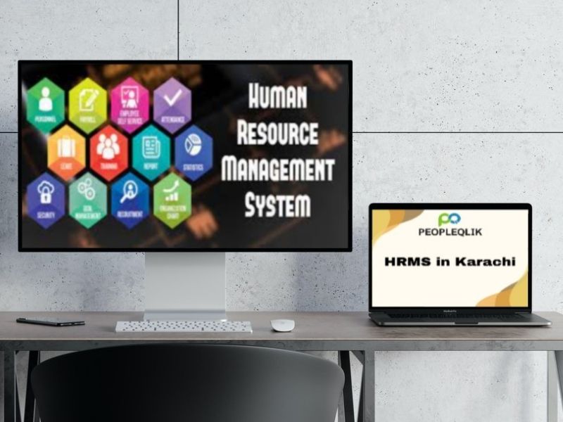 Top 5 HR Reports for Smarter Business Decisions with HRMS in Karachi