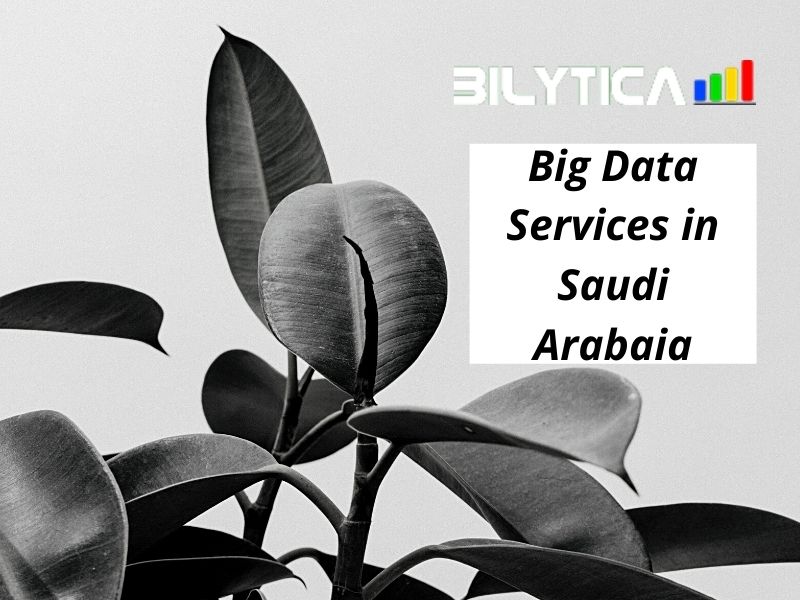 How Big Data Services in Saudi Arabia transforming business operations?